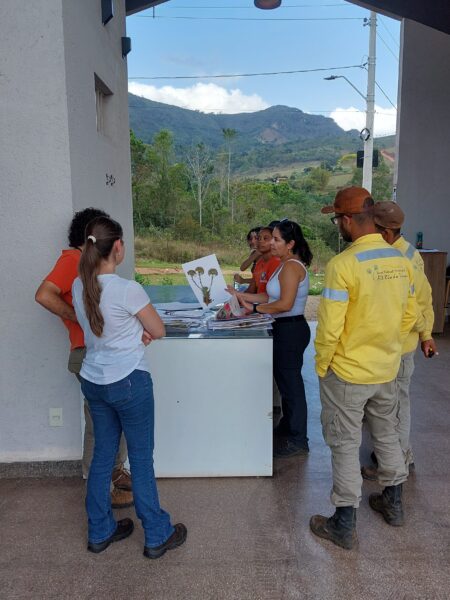 treinamento4