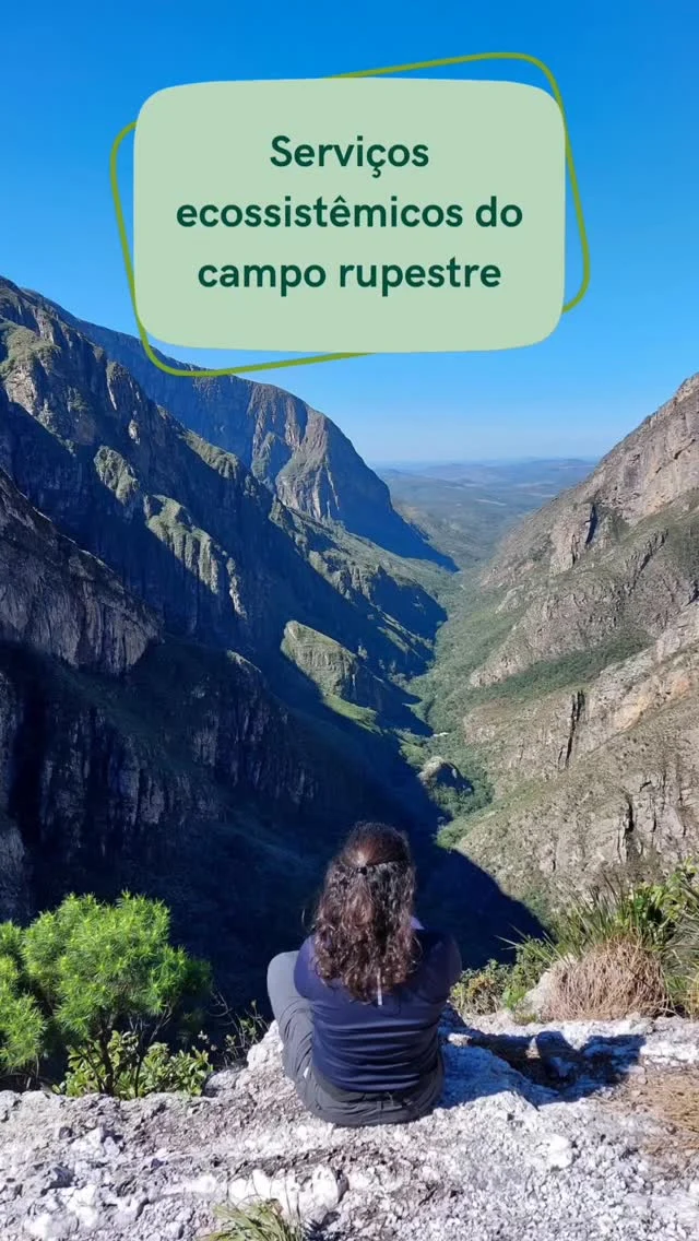 O que o campo rupestre faz por você (mesmo que você nem saiba)?💧 Fonte de água para cidades inteiras🌾 Conservação do solo e da biodiversidade🌺 Potencial ornamental, medicinal e genético de muitas espécies🧘 Turismo ecológico, paisagens únicas e inspiração para a arte e ciência#ServiçosEcossistêmicos #NaturezaÉRiqueza #plantasnativasdobrasil #camporupestre #jardinsdecerrado #biodiversidadebrasileira #ocbil